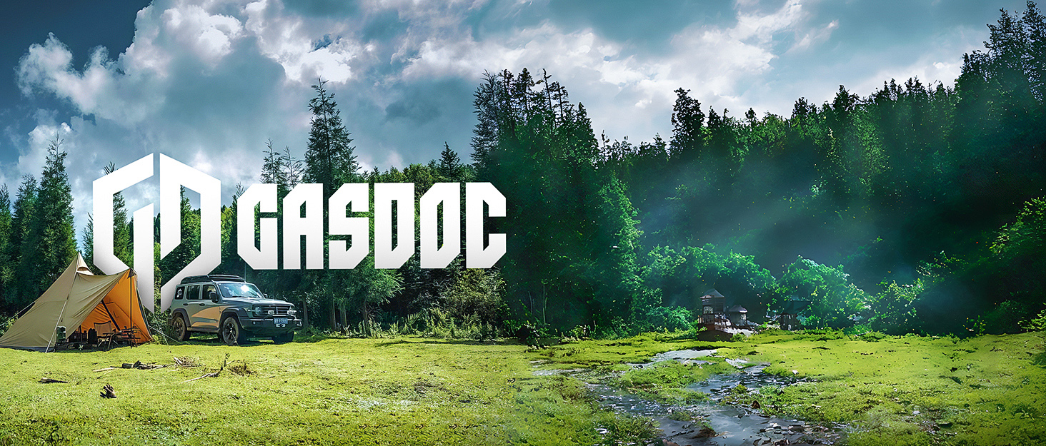 GasDoc Propane Natural Gas Protector