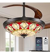 Kunywooe Ceiling Fan with Light - 48" Retractable Ceiling Fan with Remote, 4 Hidden Blades, 6 Spe...