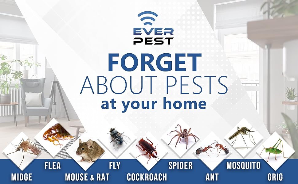 everpest