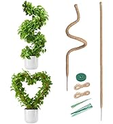 Mcbazel 2 Pack 63Inch Moss Pole for Plants Monstera, Plant Support Stick, Bendable Moss Poles Pla...