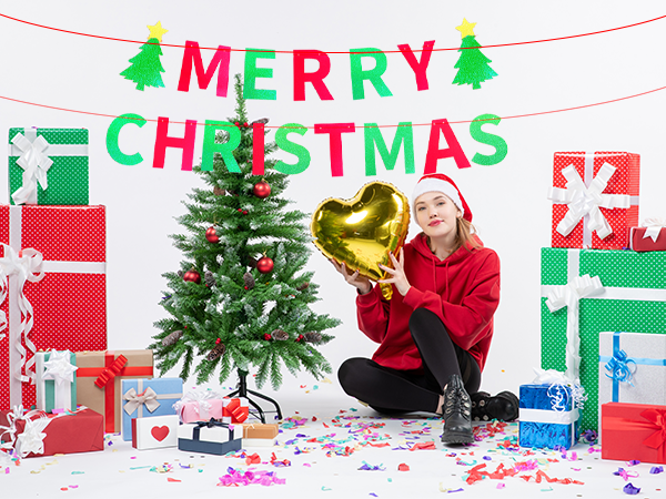 Merry Christmas Party Banner