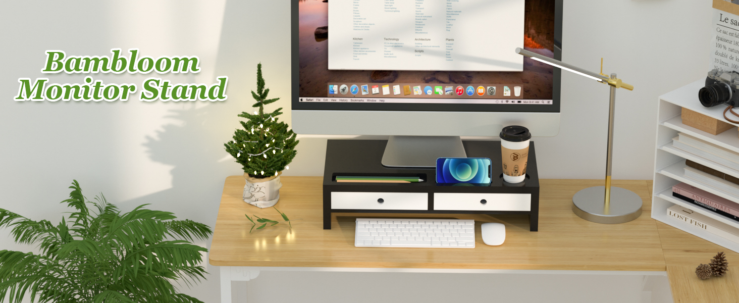 Black and White Monitor Stand