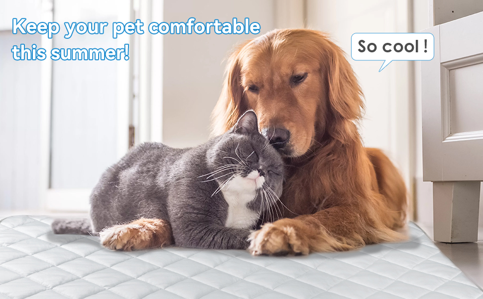 Dog Cooling Mat