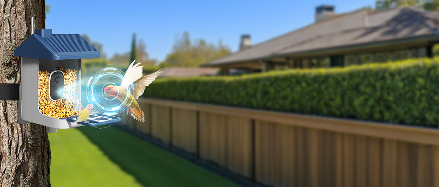 bird feeder with camera