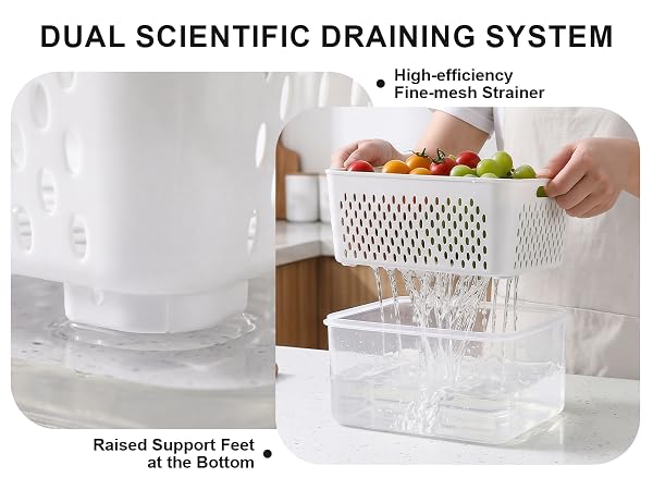 fruit containers for fridge