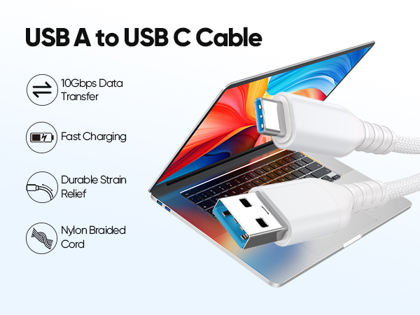 USB C Data Cable 10ft