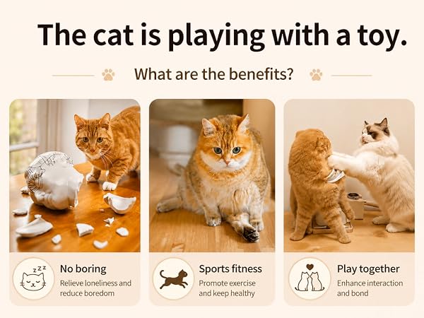 Pet toy