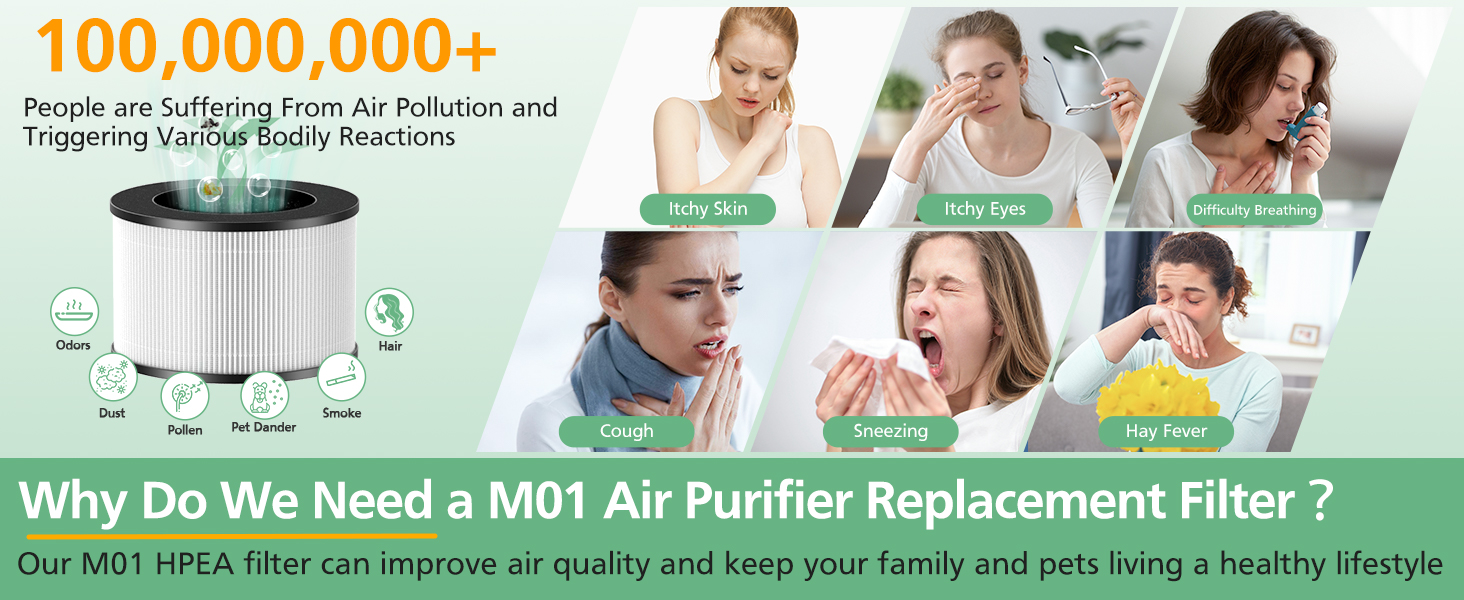 m01 air purifier filter