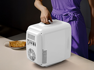 Mini Fridge Small Refrigerator Portable Thermoelectric Cooler and Warmer Fridge
