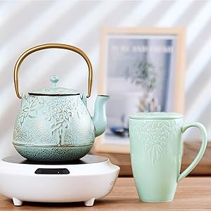 cast iron teapot tea kettle for stovetop stove top japanese tea pot
