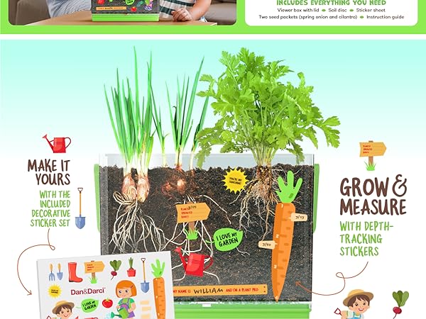 kids Root Viewer 