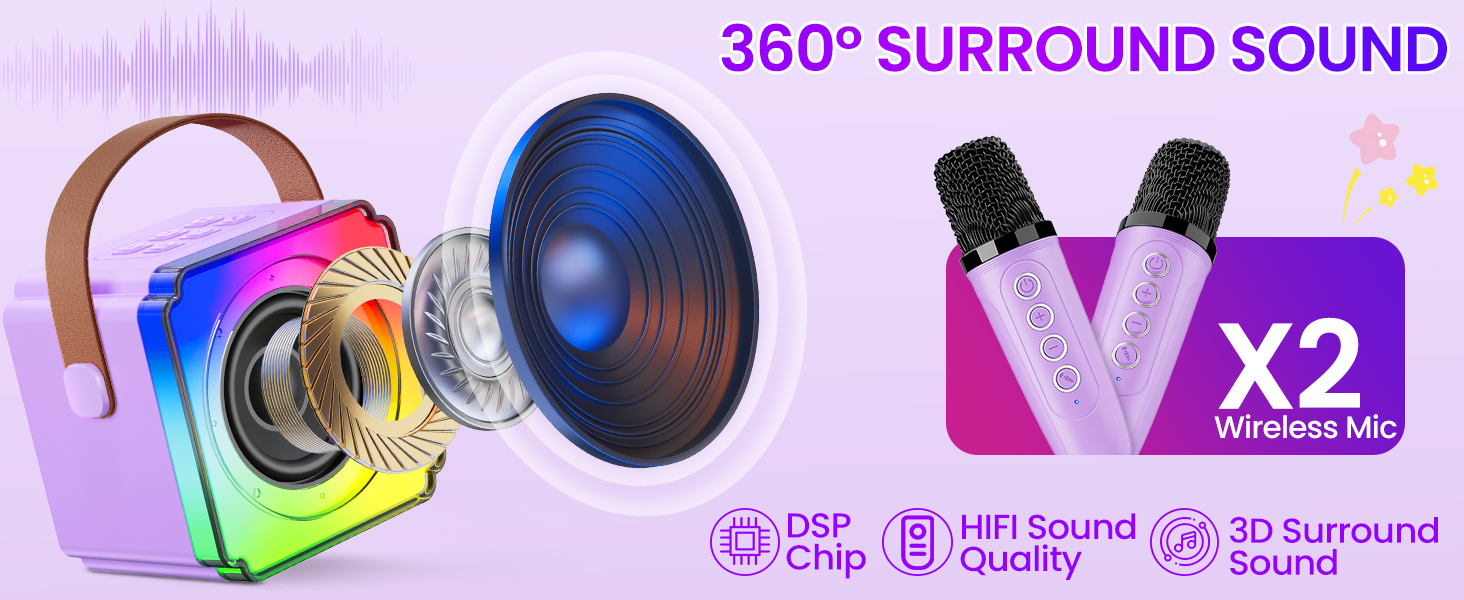 microphone with speaker