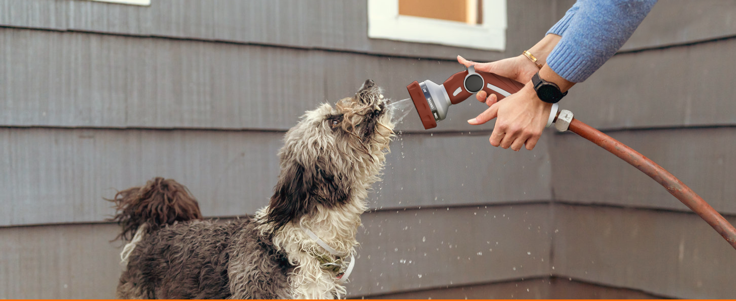 Pet Showering