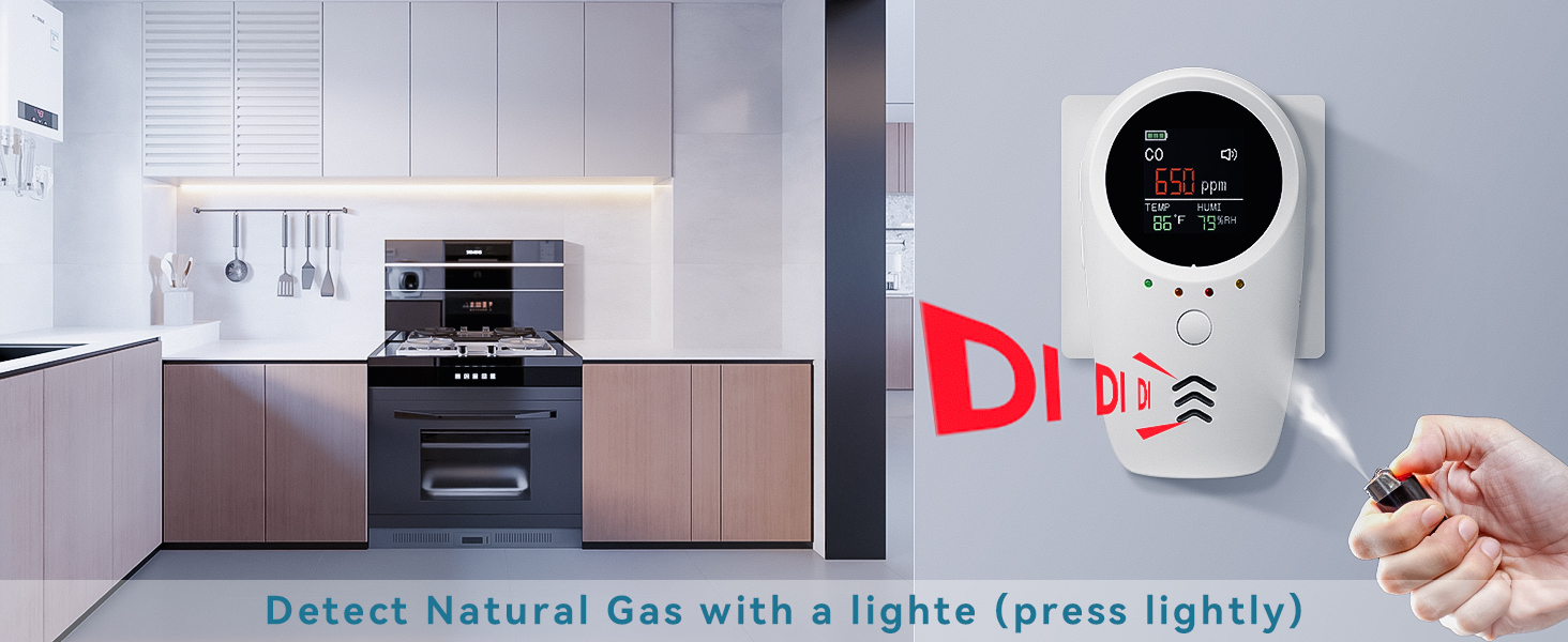 natural gas detector