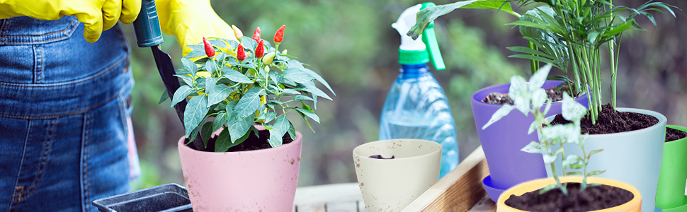 small pots for planting