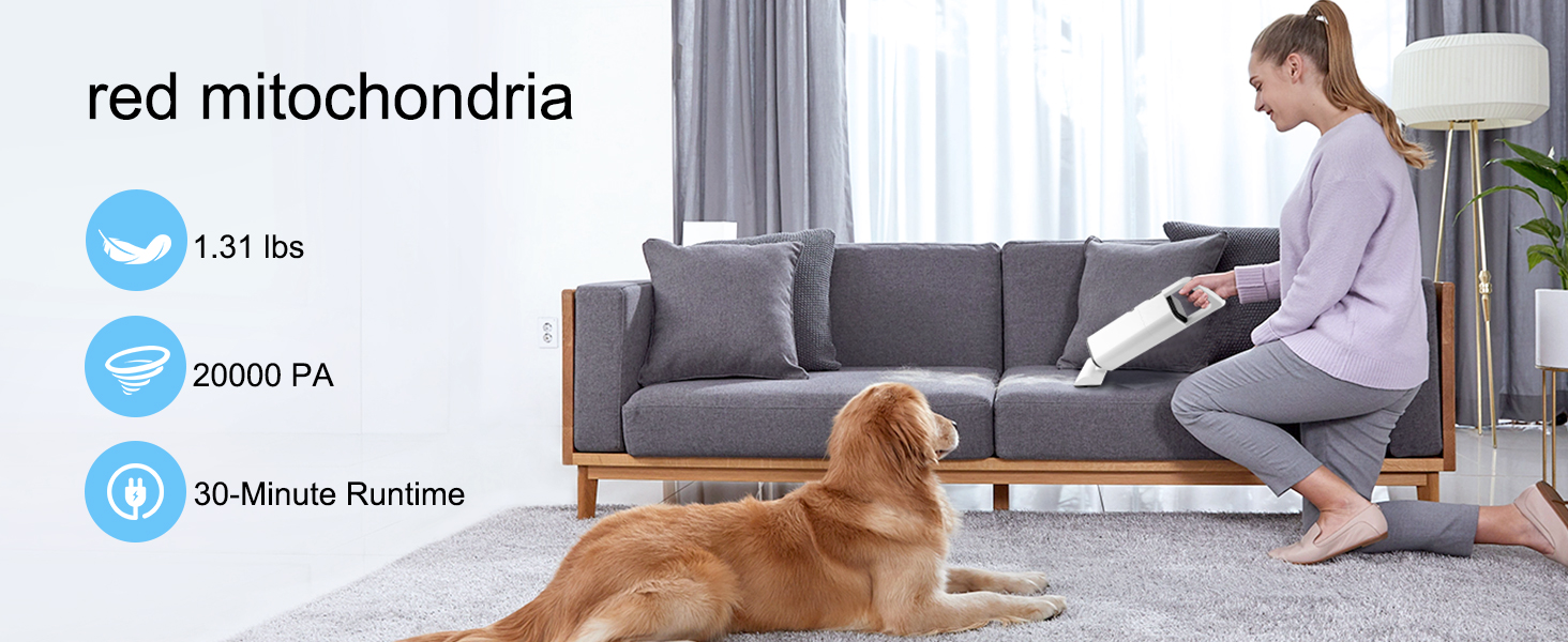 suitable for Pet Owners,Car Enthusiasts,Busy Professionals and Apartment Dwellers/Small Space Living