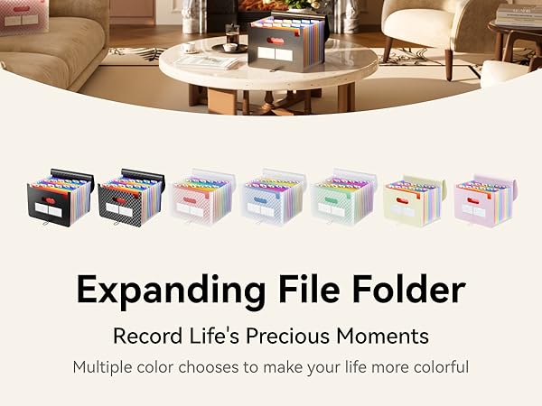 ABC life 12 Pockets Accordion File Organizer Expanding File Folders