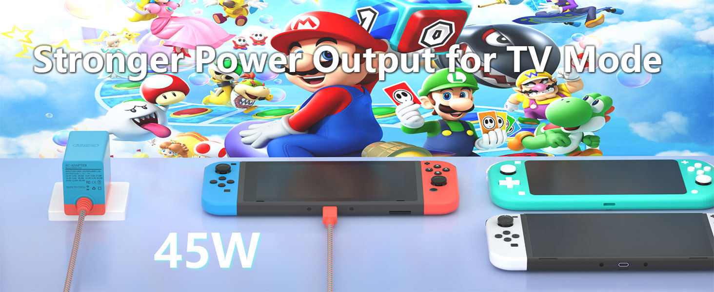 Charger for Switch