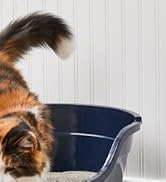 Brand_Story_Slices_Pet_02