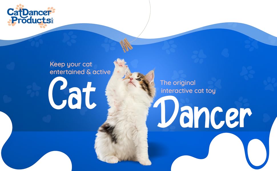 Interactive cat toy