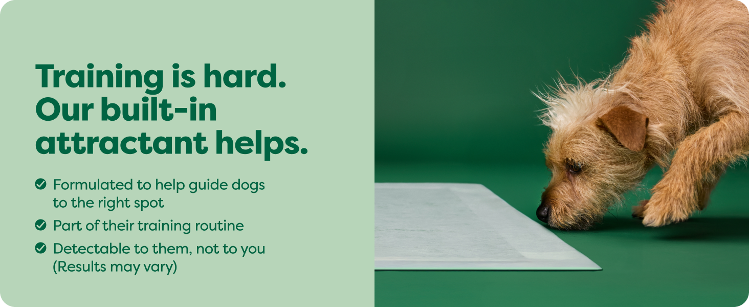 dog potty pads