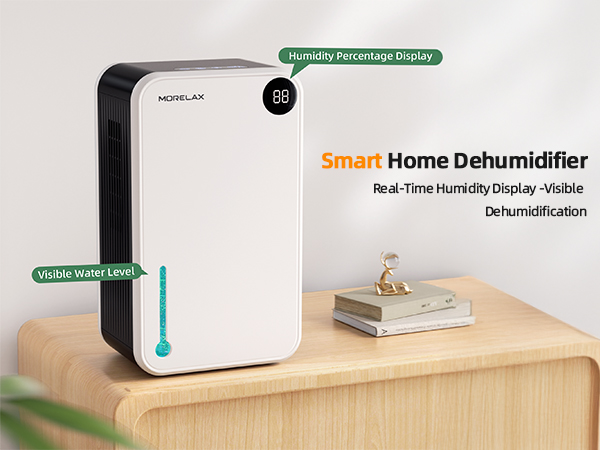 home Dehumidifier