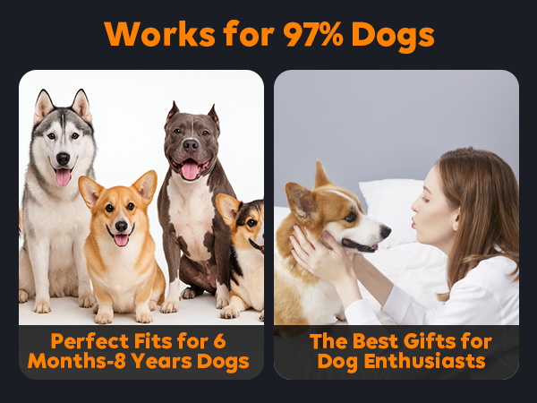 anti barking device for dogs