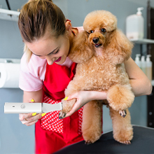 Dog grooming kit-dog clipper-cat trimmer-cat shaver-pet supplies-cat grooming-cat clippers-dog shear