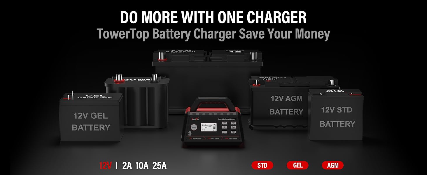 LiFePO4 battery charger