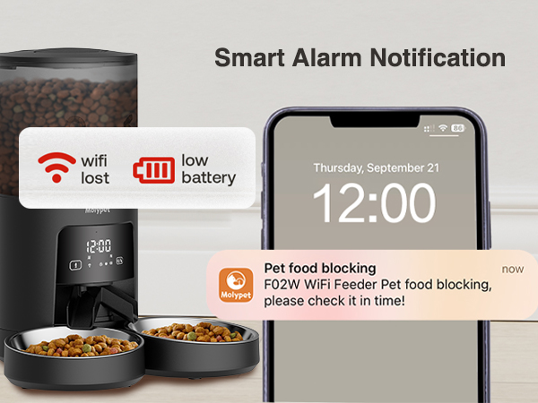 automatic cat food dispenser