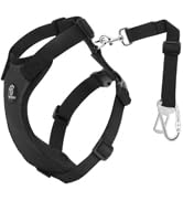 Dog Seat Belt