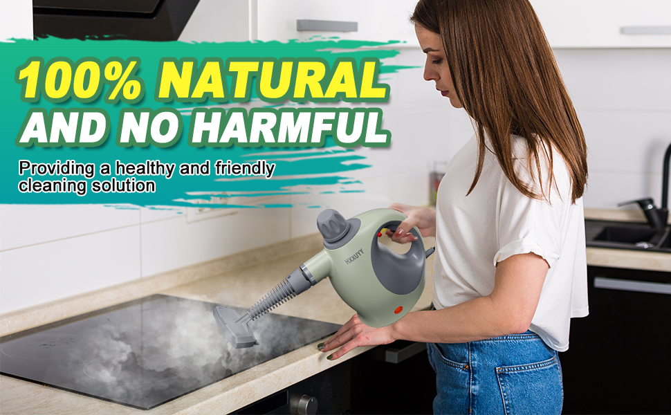 Handheld Steam Cleaner