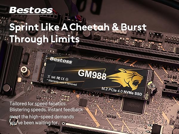 SSD NVME