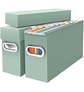 Naleyber File Organizer Box with Lid &amp; Handle, Heavy Duty Hanging File Folder Storage Boxes for L...