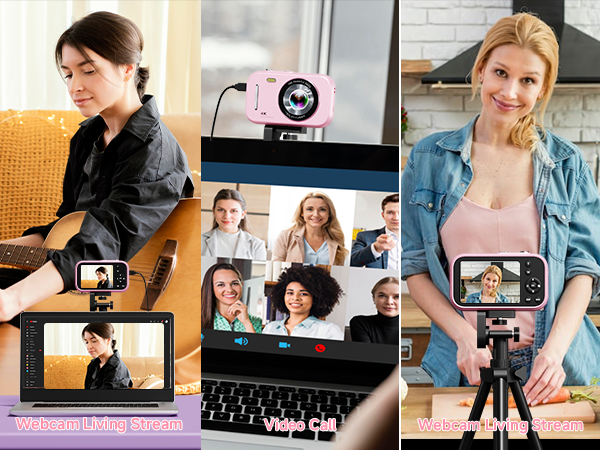 Webcam living stream