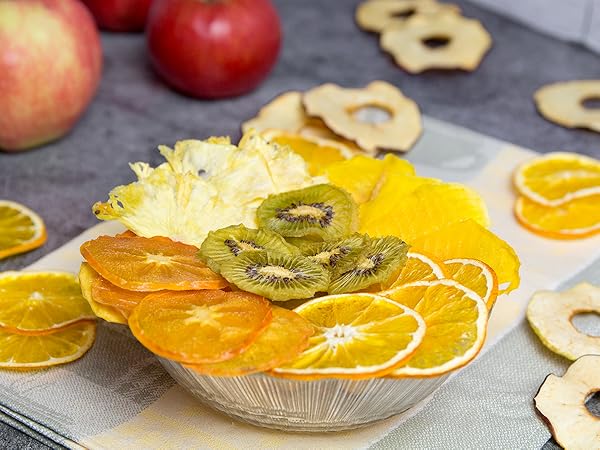 fruit dehydrator