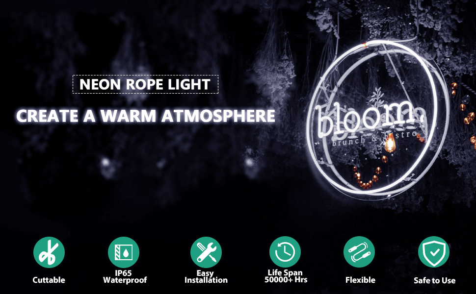led neon flex