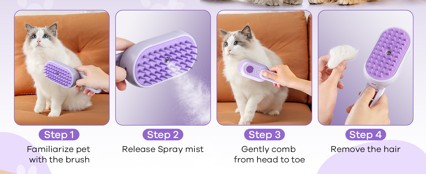 cat steam brush