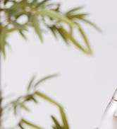 ZENS Sake Set Glasses, 8.5 Ounce Sake Carafe Cups with 6 Saki Cup Set for Warmer or Cold Japanese...