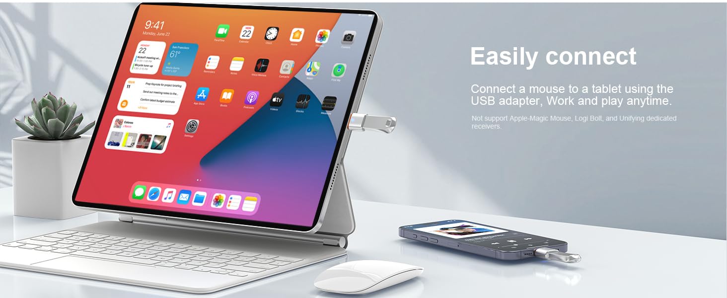 USB C to USB Adapter USB C Male to USB 3.0 Female OTG Adapter 
