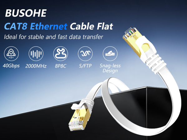 ethernet cable