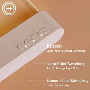 LED Book Light and Night Light 2 in 1