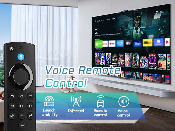 Voice Remote Replacement 