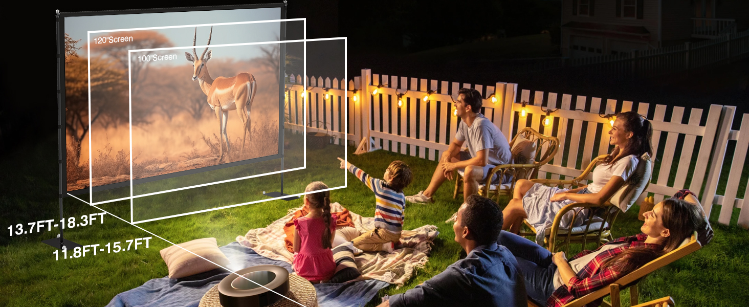 Projector Screen with Stand4