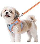 rabbitgoo Dog Harness Small Sized and Leash Set, Step-in Breathable Pet Harness, Soft Walking Ref...