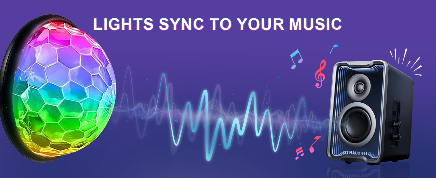 Lights Sync to Your Music