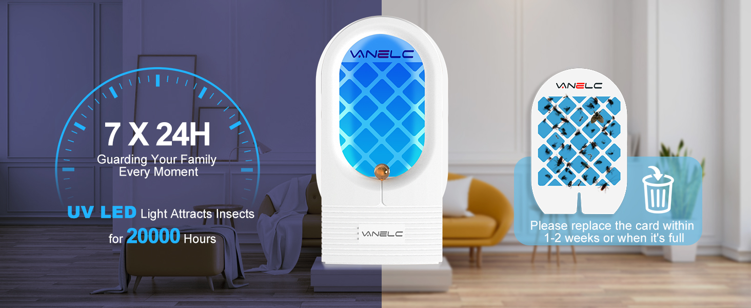 Plug-in Flying Insect Trap for Fruit Flies, Moths, Gnat Trap Indoor, Mosquito Killer Indoor