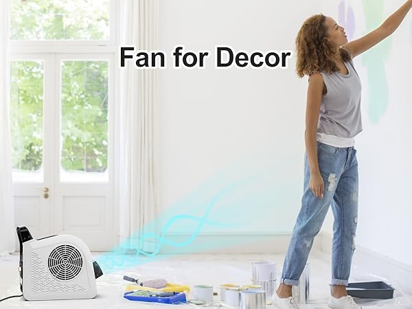 Decoration fan