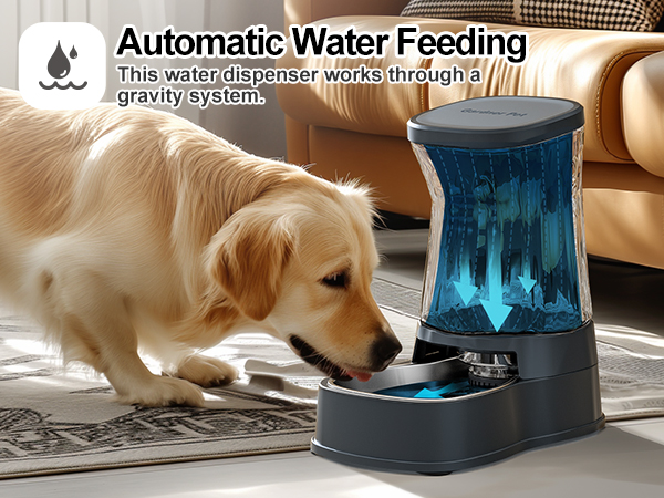 DOG FEEDER