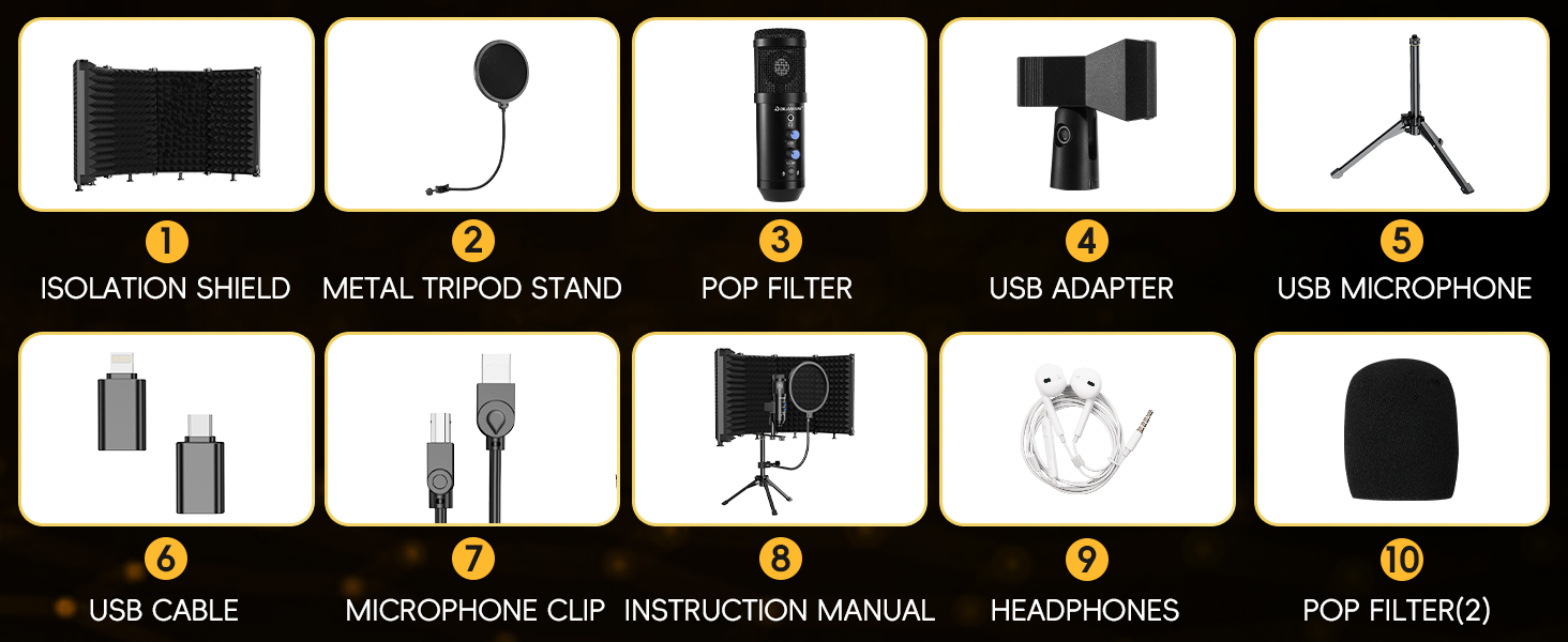 Studio Recording Microphone